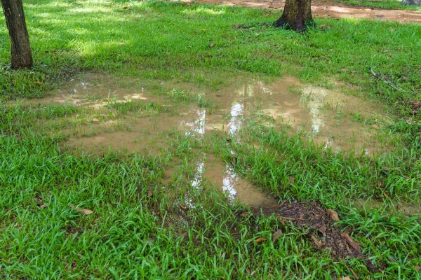Cost of Storm Water Drainage Service in Marion