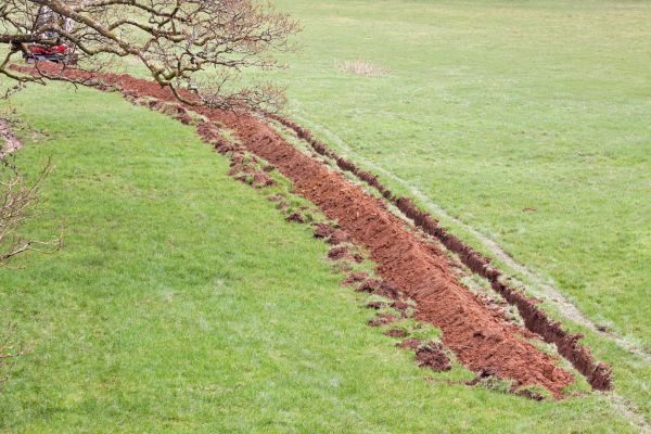 Cost of Swale Installation in Marion