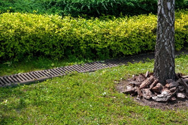 Cost of Residential Landscape Drainage in Marion